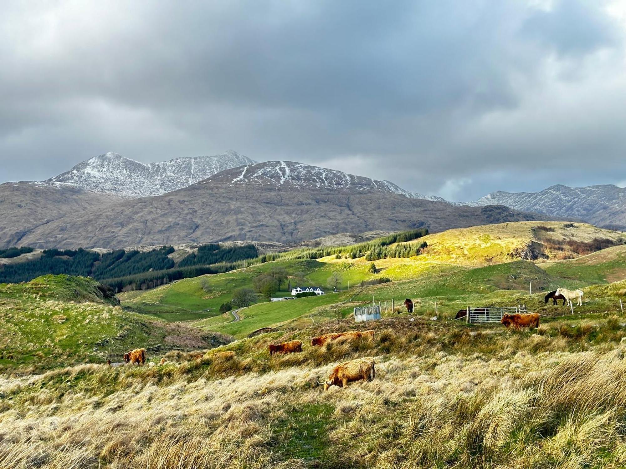 Farm With Wood-fired Hot Tub * Taynuilt